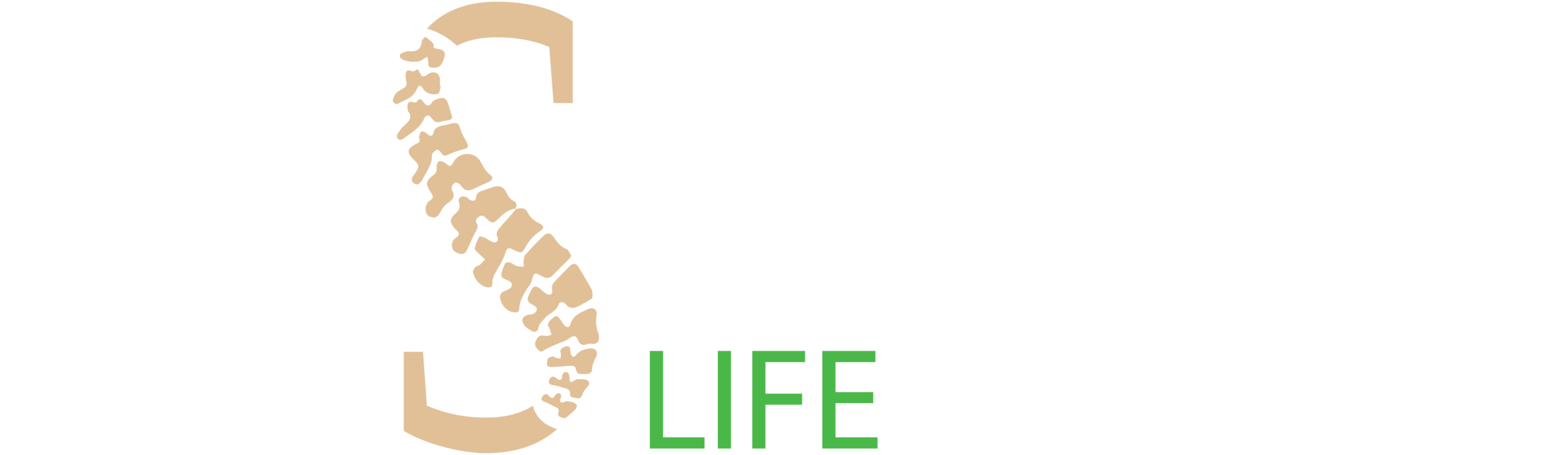 MSN Life Services